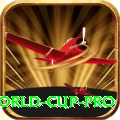 2019 world cup Pro v2.7.7