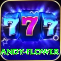 andy flower Deluxe Edition v3.3.8