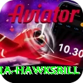 antigua hawksbill Apps (Tools & Injectors) Pro v5.9.3