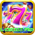 bbl cricket Live Casino Mega