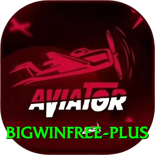 bigwinfree Pro Edition v4.9.9 - 2