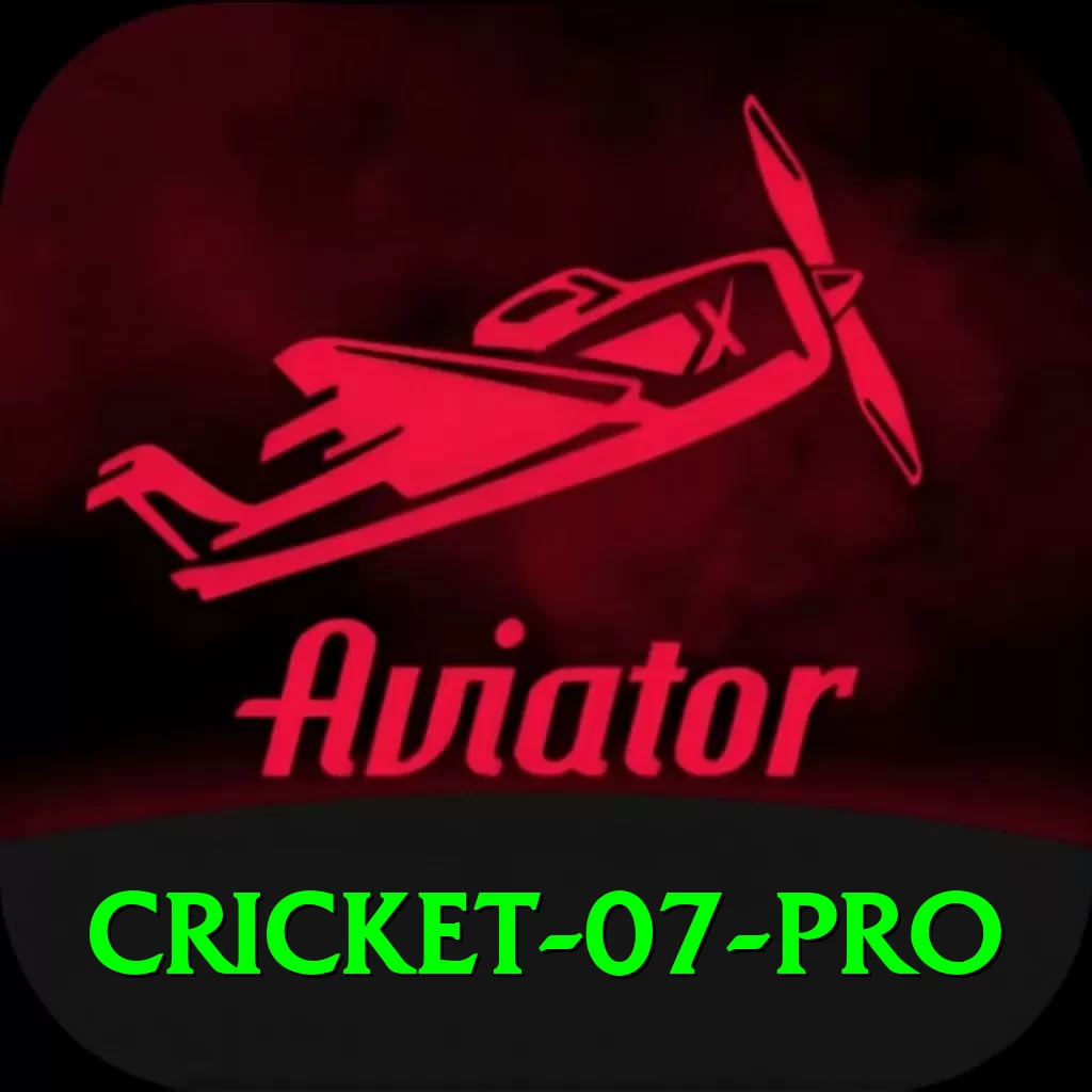 cricket 07 Gold PK v2.0.4 - 2