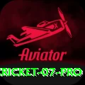 cricket 07 Gold PK v2.0.4
