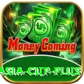 cricket asia cup Gaming Royal v4.0.9