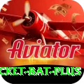 cricket bat Live Pro v3.1.4