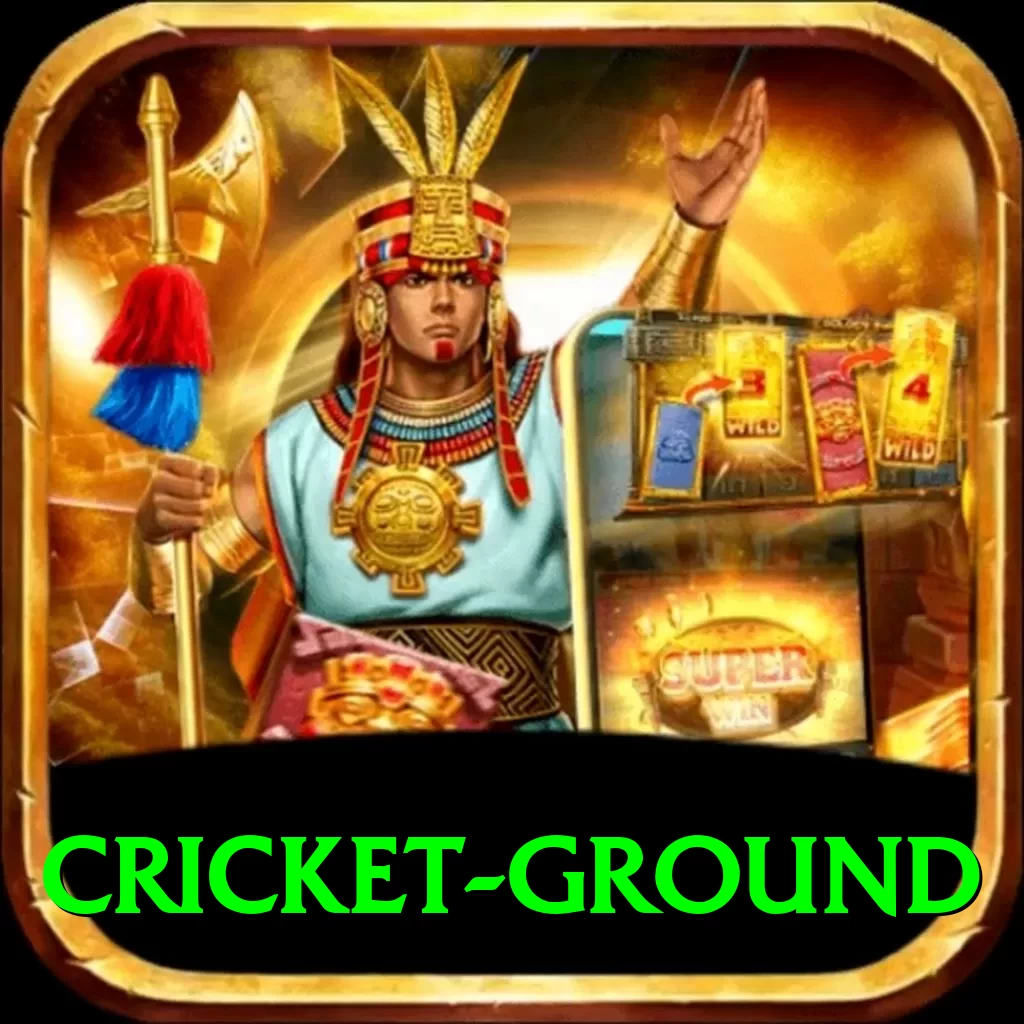 cricket ground Premium Edition v4.6.0 - 2