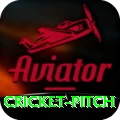cricket pitch Deluxe Edition v3.4.1