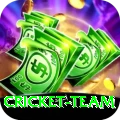 cricket team Premium Edition v4.6.1
