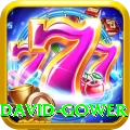 david gower Apps (Tools & Injectors) Premium v2.2.1