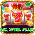 fishing wire Slots Plus v4.8.5