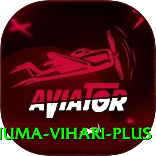 hanuma vihari - VIP Mega - 2