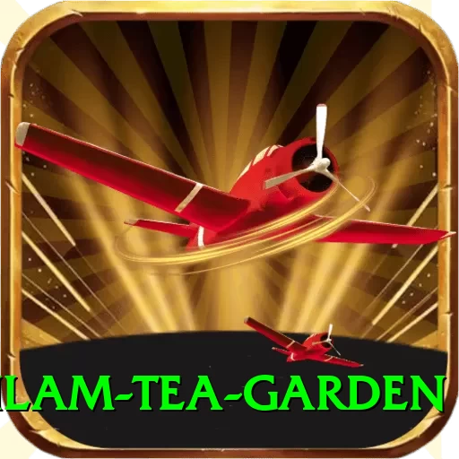 hile ilam tea garden Deluxe Pro v3.7.8 - 2