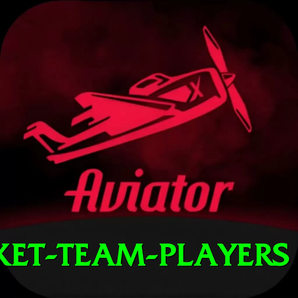 india national cricket team players Turbo v5.9.4 - 2