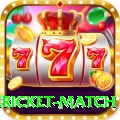 international cricket match Pro v3.4.3