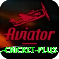 international cricket App VIP v3.0.2