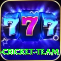ireland cricket team Master v4.1.1