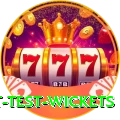 most test wickets Plus Pro v2.8.6
