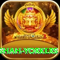 naseem shah yorkers Apps (Tools & Injectors) Turbo v2.3.2