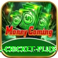 nepal cricket Live Casino Royal
