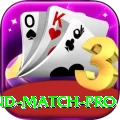 new zealand match Slot Machine Elite