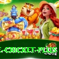 one cricket Ultimate PK v4.0.3