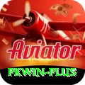 pkwin Premium v1.3.0