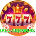 powerball numbers Max Pro v2.3.9