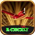 r cricket Pro Max v1.7.4