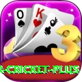 r cricket Slots Premium v1.4.6