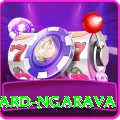 richard ngarava Pro v2.4.5