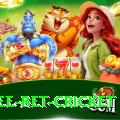 risk free bet cricket Gold Edition v2.4.7