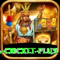 sa cricket Official v5.0.3