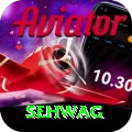sehwag Deluxe Pro v5.2.4