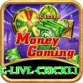 smartcric live cricket Pro1 v2.2.6