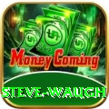 steve waugh Games (Casino & Earning) Max v5.0.5
