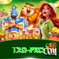t20 Slot Machine VIP