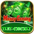 test cricket Max v3.6.6