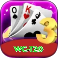 wc t20 Premium Edition v4.4.1