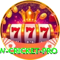 willow cricket Pro - Win Real PKR